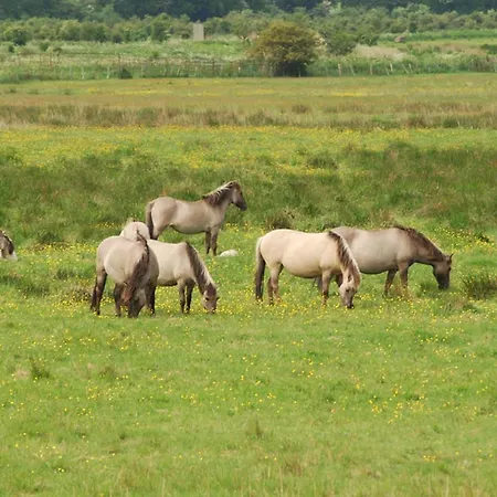Mit Balkon Und Schleiblick Maasholm